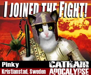 image c. 2016 Cathair Apocalypse